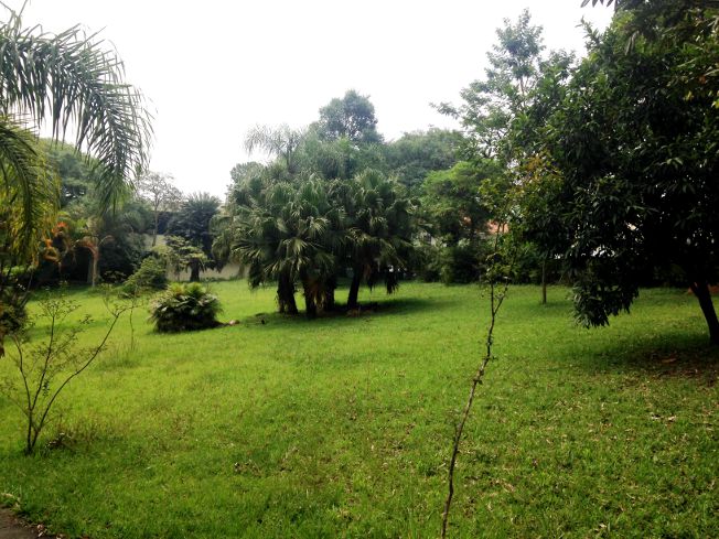Bosque na região central de São Bernardo do Campo, onde situa-se a Fatec Adib Moises Dib sao-bernardo-do-campo, fatec-adib-moisés-dib