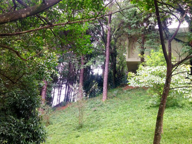 Bosque na região central de São Bernardo do Campo, onde situa-se a Fatec Adib Moises Dib sao-bernardo-do-campo, fatec-adib-moisés-dib