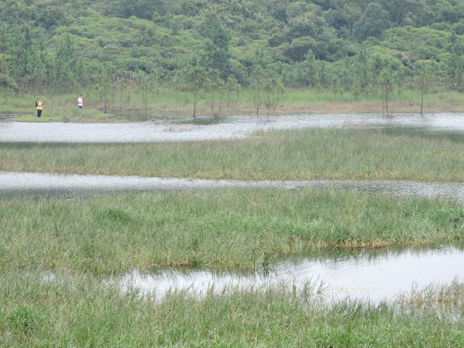 Sangradouro Pequeno Perequê, de propriedade da EMAE, em São Bernardo do Campo sao-bernardo-do-campo, sangradouro-pequeno-pereque